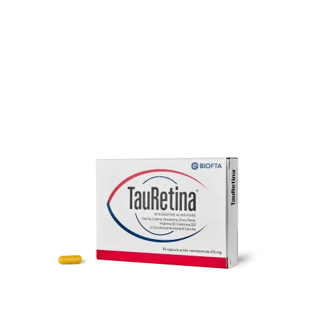 Tauretina